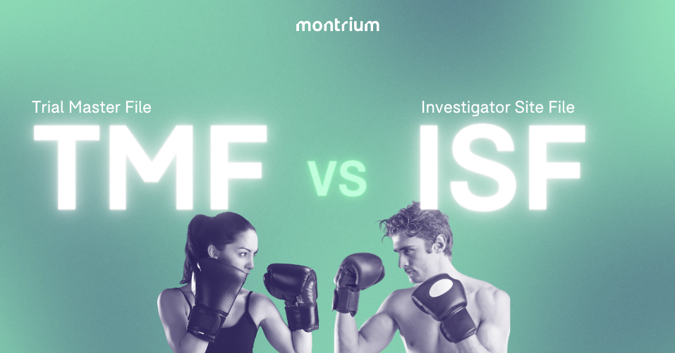 MicrosoftTeams-image (24)-1