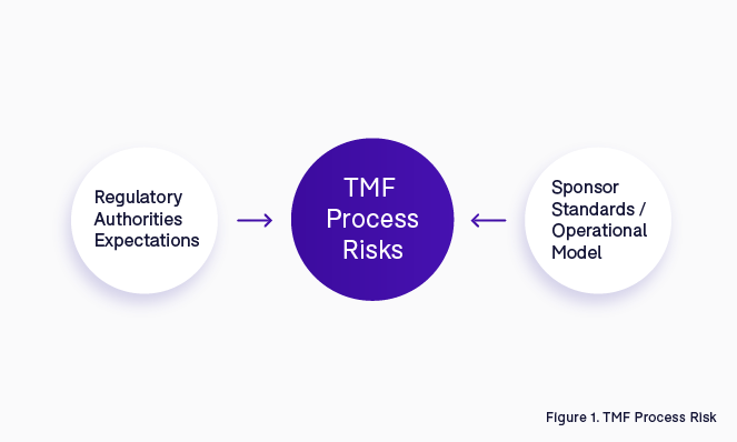 Identifying TMF process risks with regulatory authorities expectations and operational models