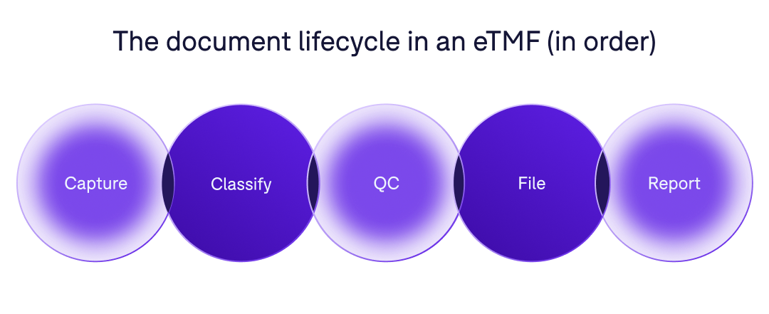 The document lifecycle in an eTMF (in order): Capture - Classify - QC - File - Report