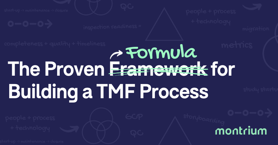 The Proven Formula for Building an Expert-Approved TMF Process